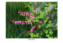 "bleeding hearts" artwork