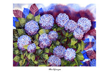 "blue hydrangeas" artwork
