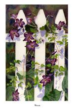 "clematis" artwork