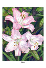 "lilies" artwork
