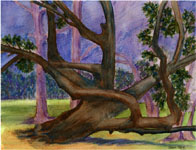 "tree" artwork