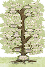 Celtic Circle Family Tree Personalized Artwork and Calligraphy